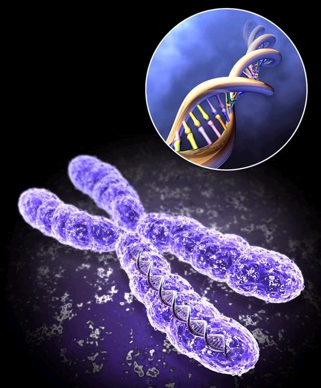 Uzm. Dr. Esra Ataman