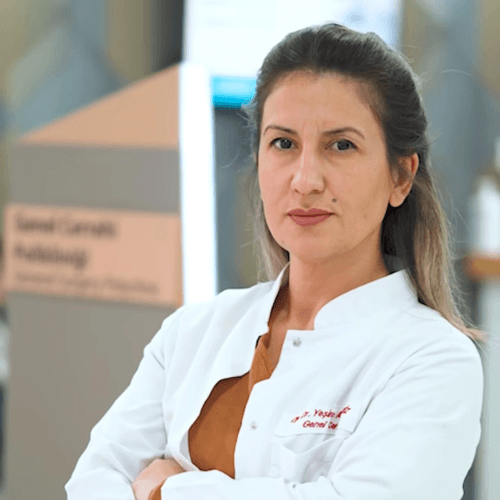 Dr. Öğr. Üyesi Yeşim Akdeniz