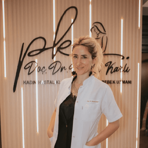 Prof. Dr. Pervin Karlı