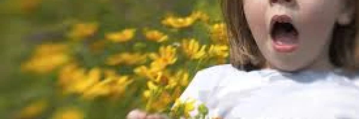 ALERJİ, ANNE KARNINDA ÖNLENEBİLİR Mİ?