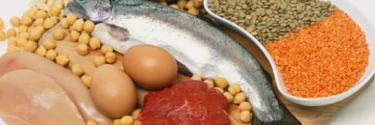 Kilo almak için destekçilerimiz kimler?