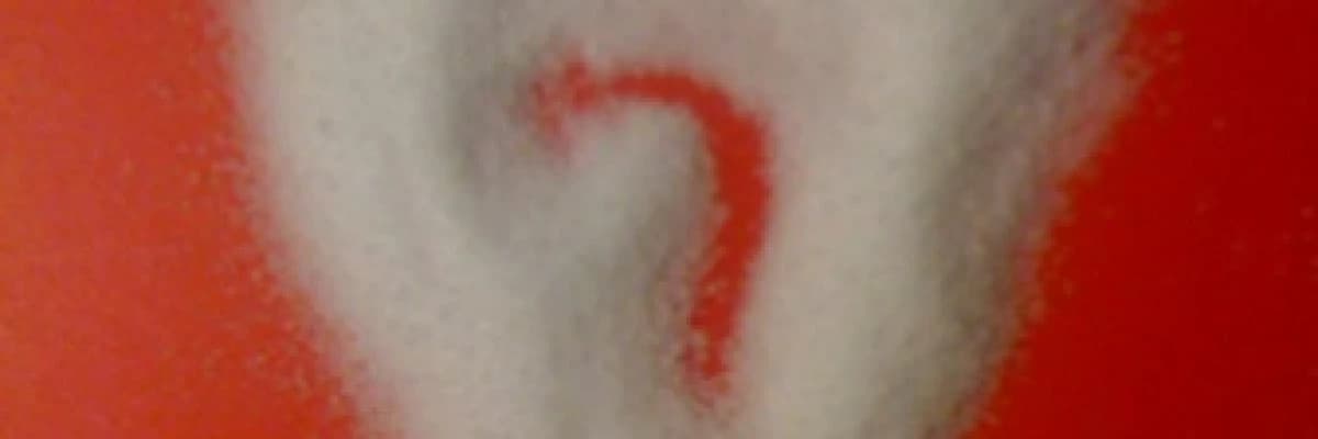 Hangi tuz iyidir? Himalaya tuzu mu? Okyanus tuzu mu?