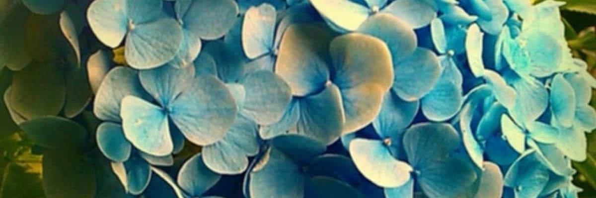 Kanser hastaları ve yakınları