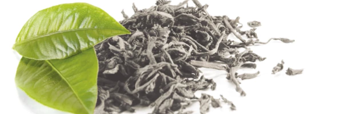 Doğadan gelen sağlık