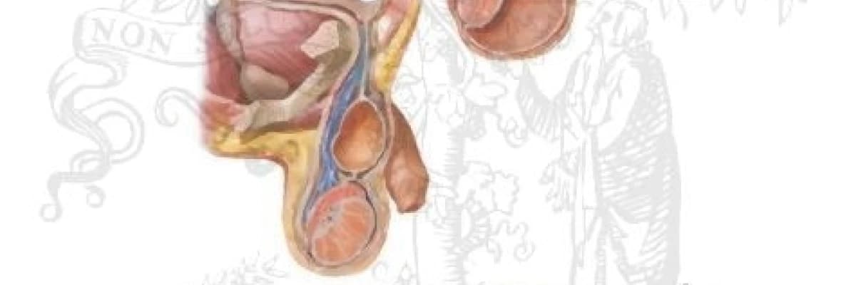 Çocuklarda kasık fıtığı