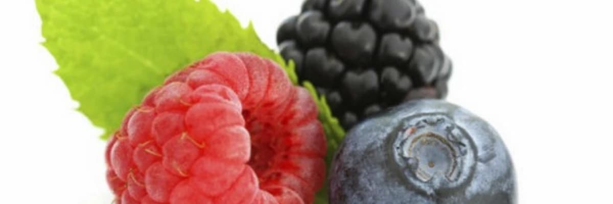 Polifenoller ve sağlığa etkileri