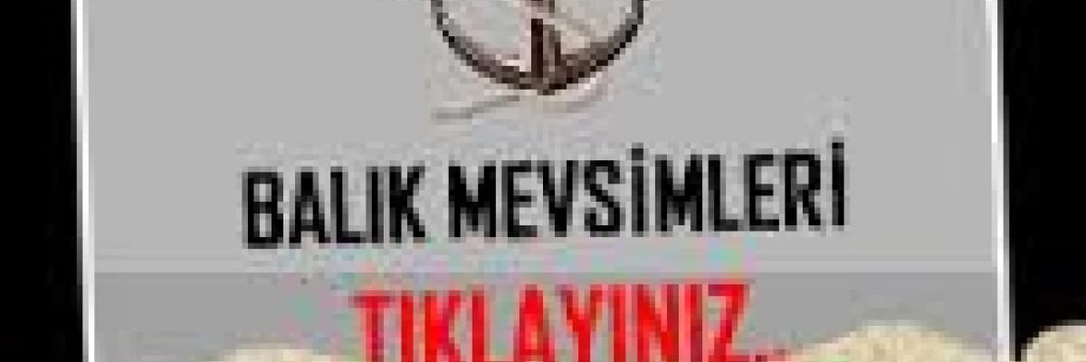 Hangi mevsimde hangi balıkları tüketmeli