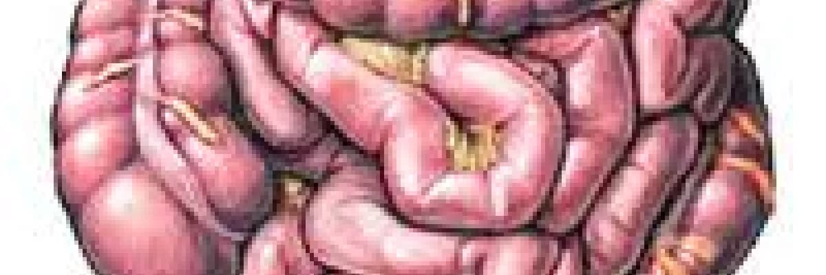 Ülseratif kolit ve crohn hastalığı