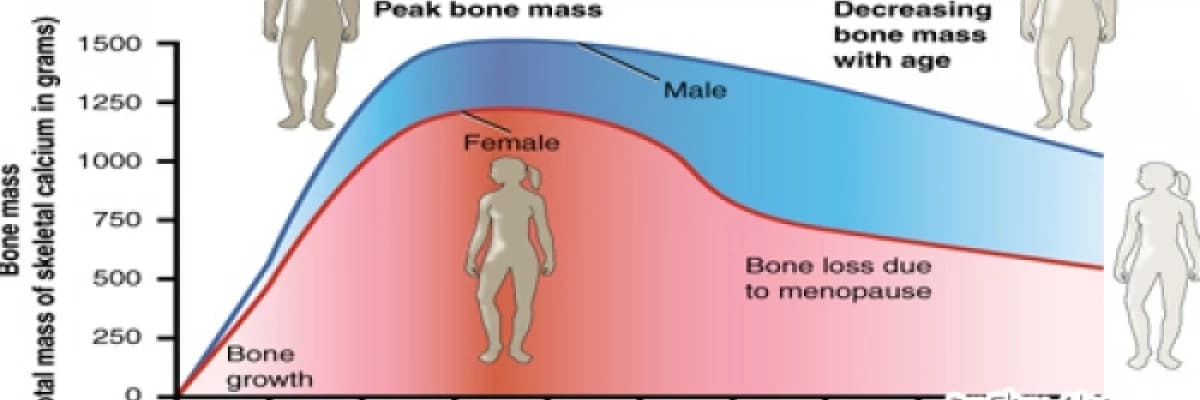 Menopozda  hormon  tedavisi