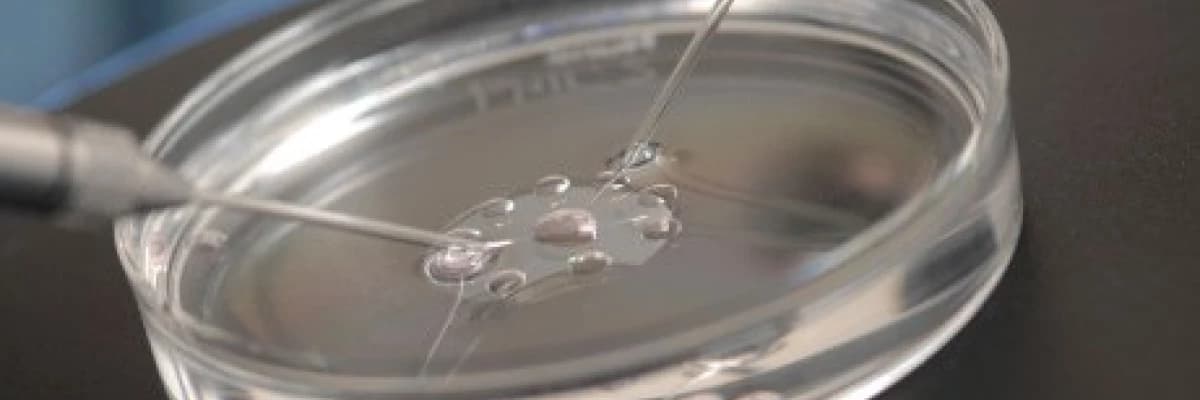 Tüp bebekte şaşırtan gelişmeler