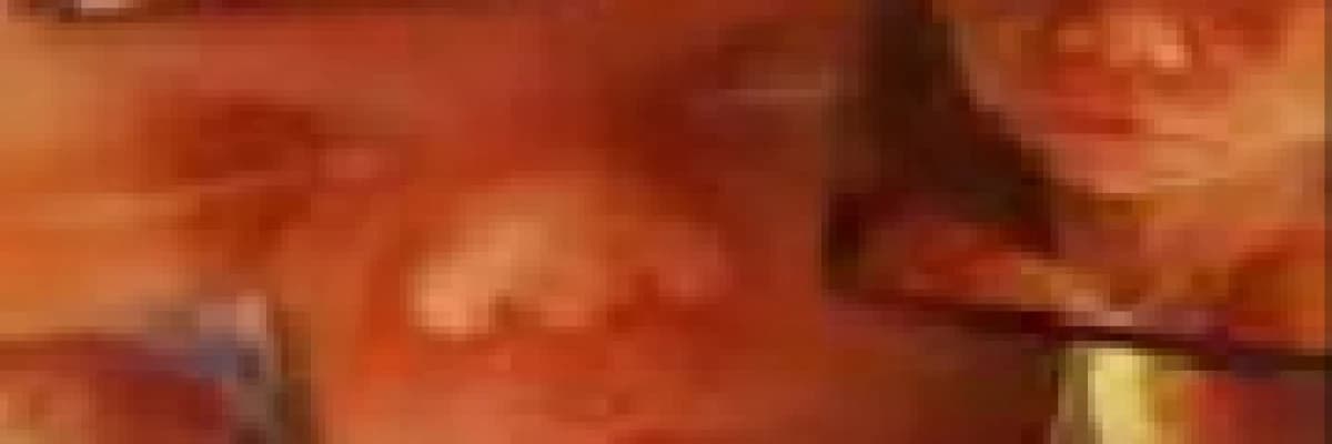 Fetal gelişim, Üçüncü Trimestir ( Son Üç Ay)