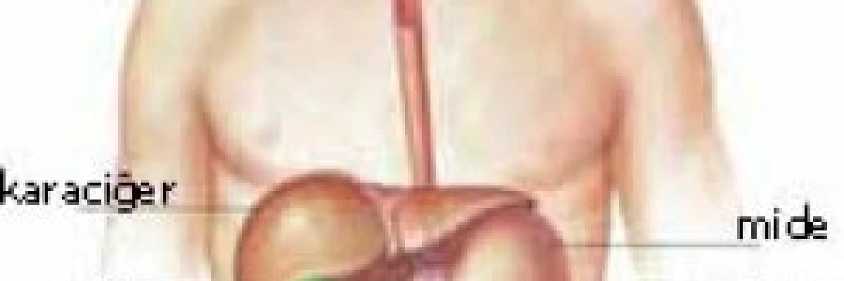 Sindirim kanalındaki darlıkların genişletilmesi