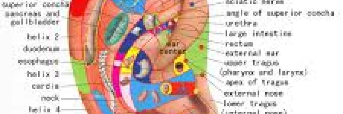 AKUPUNKTURUN ETKİ MEKANİZMASI