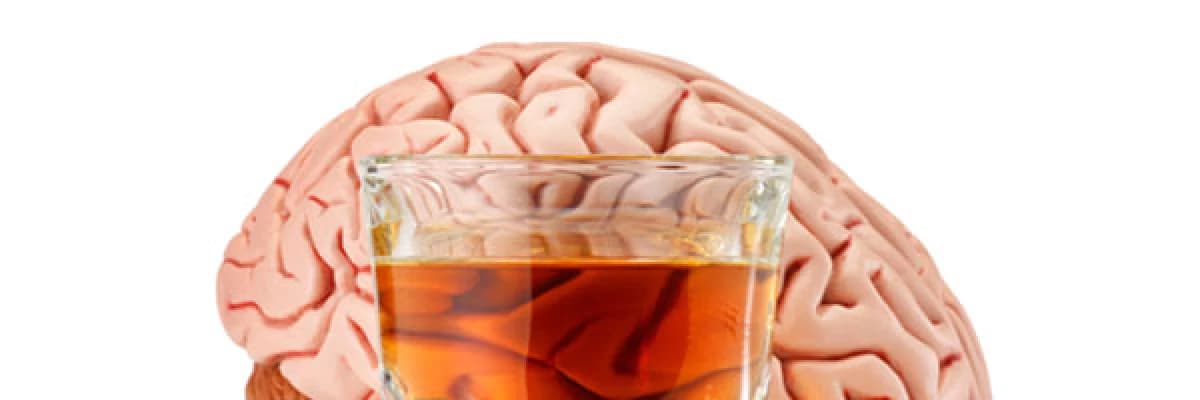 Alkolizm ve Beyin: Wernicke – Kursakov Hastalığı