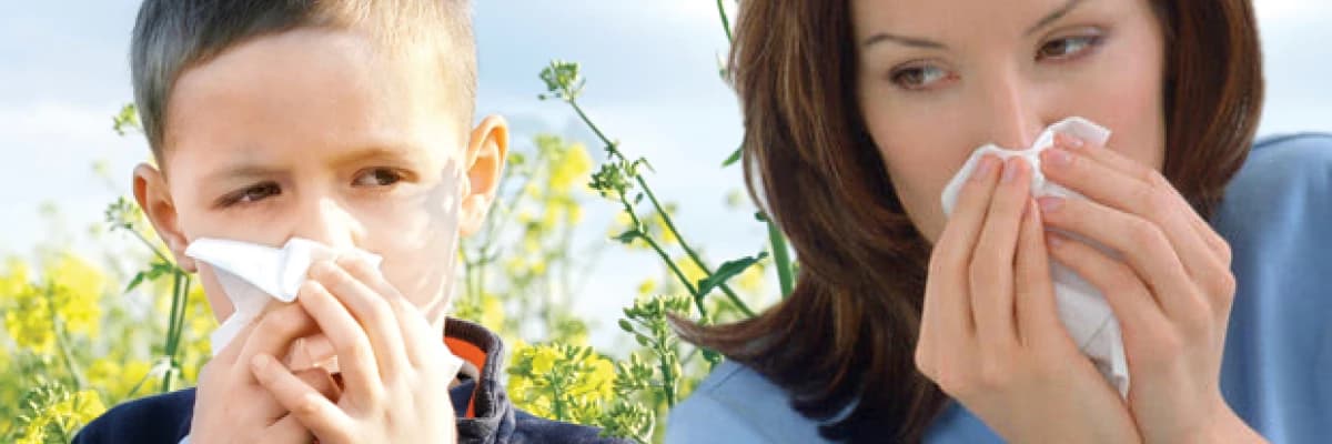 AKUPUNKTUR İLE ALERJİK RİNİT (NEZLE)  TEDAVİSİ