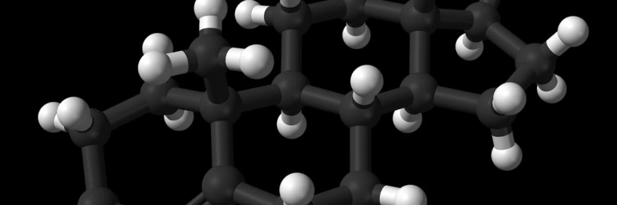 TESTESTERON HAKKINDA MERAK EDİLENLER