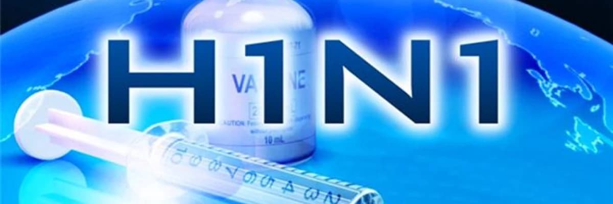 H1n1 virüsü (domuz gribi)