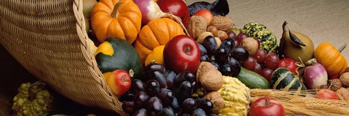 Sebze ve Meyve - Saklama - Yararları Sebzeler