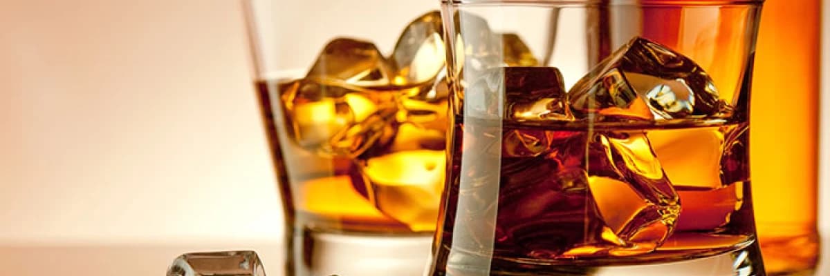 Diyet Yaparken Alkol Alabilir miyiz?