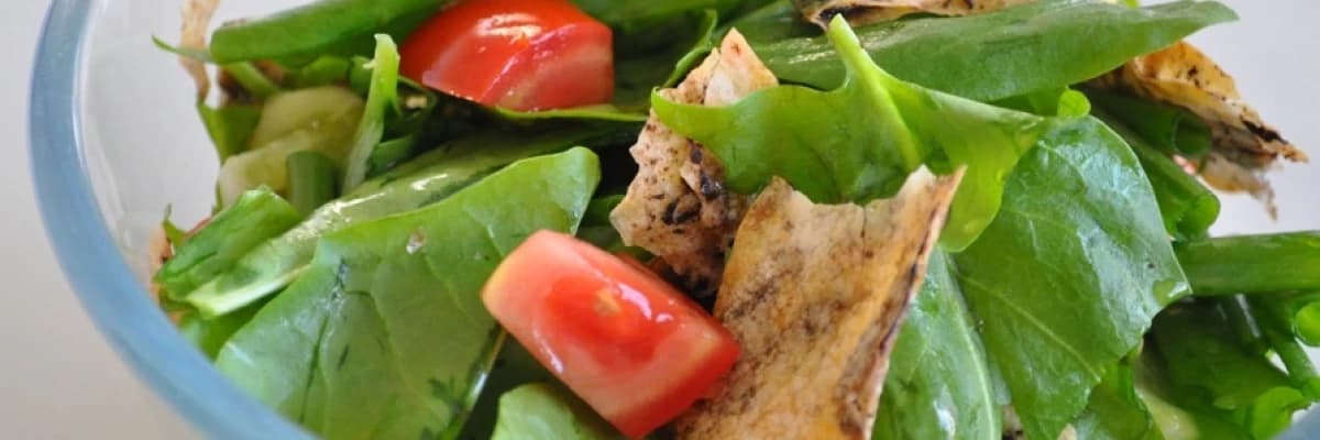 Şifalı bitkiler “ kuzukulağı “