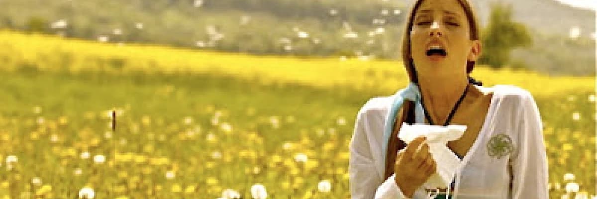 Polen alerjisi her yıl giderek artan bir problem olmaya devam ediyor!  Biorezonans tedavisi ümit verici.