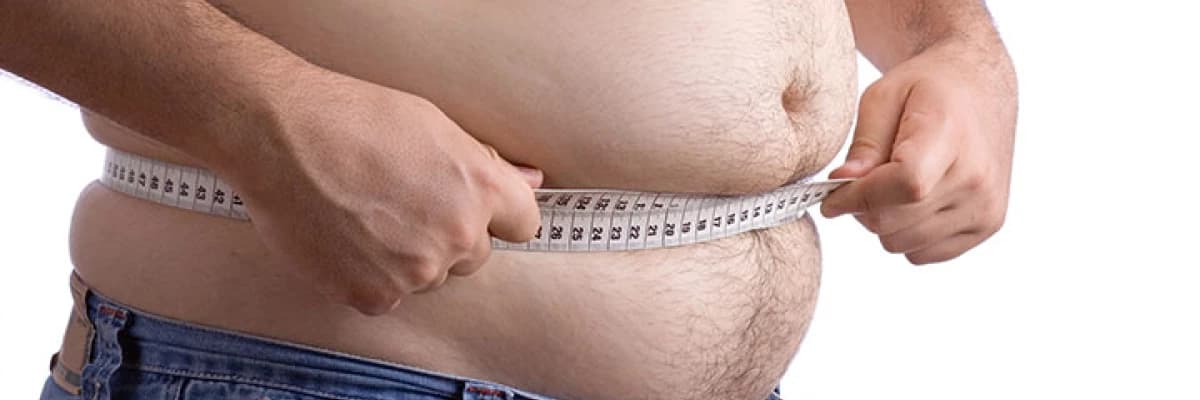 Karaciğer Yağlanması ve Beslenme İlişkisi