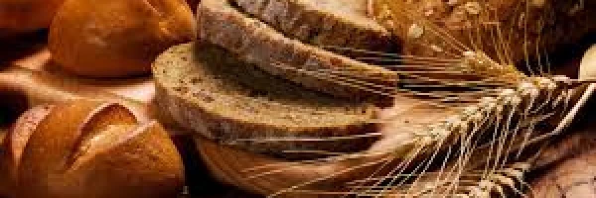 Buğday Alerjisi ve Gluten Enteropatisi, Çölyak Hastalığı