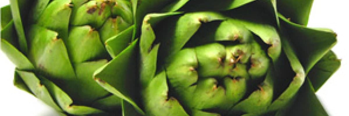 Baharın mucizelerinden bir tanesi "ENGİNAR"