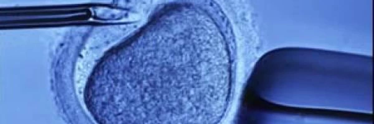 İNFERTİLİTE TEDAVİSİNDE AŞILAMA YÖNTEMİ