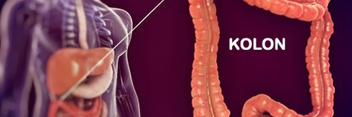 Kolonoskopi nedir?