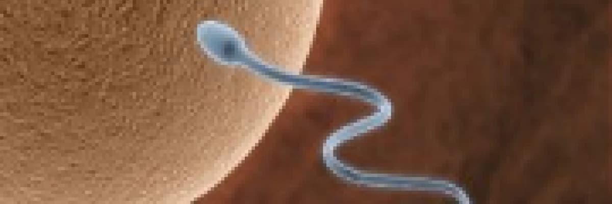 Yumurtalık Yetmezliği