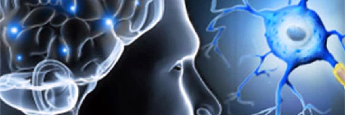 Multipl Skleroz (MS) Rehabilitasyonu