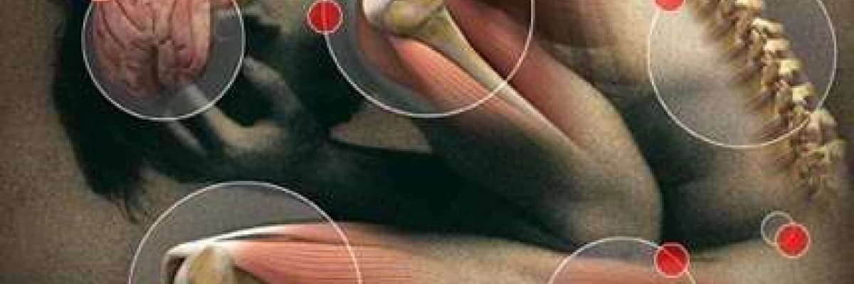 Romatizma ve Ozon Terapisi