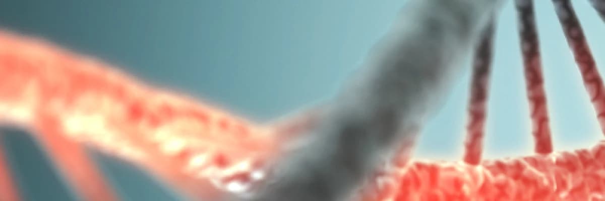 Aile ağacı kimlere yapılmalıdır?