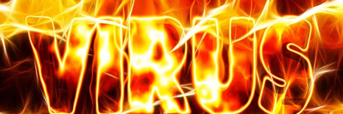 Hangi tipler rahim ağzı kanseri gelişiminde daha önemli : HPV (Human Papilloma Virüsü)