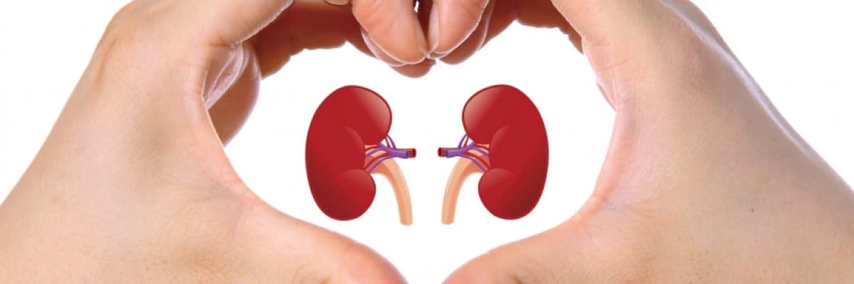 BÖBREK HASTALARI NE YEMEMELİ ?