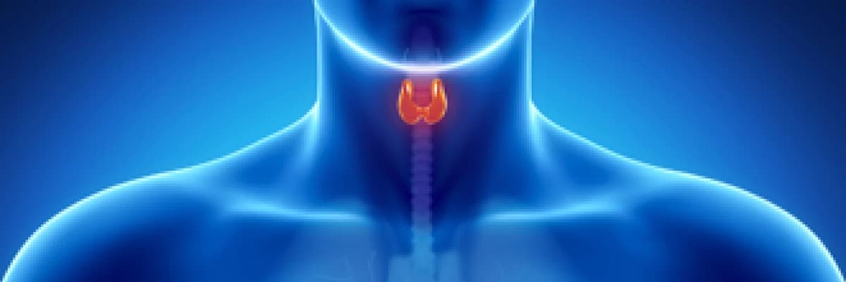 TROİT HASTALARINA NOTLAR