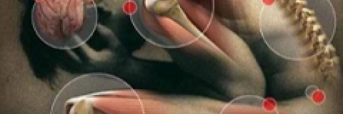 Romatizma, romatoloji, romatizmal hastalıklar