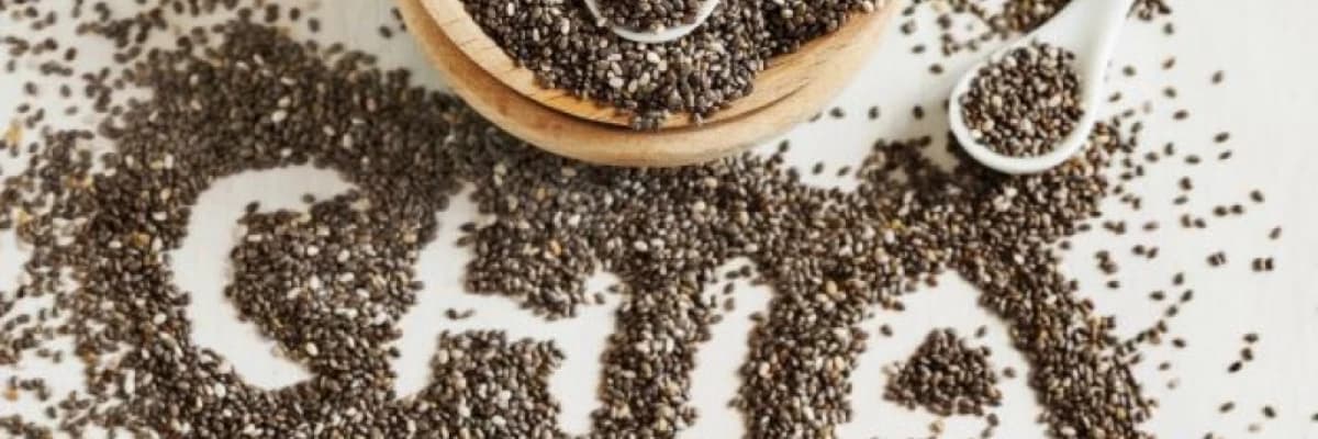 CHİA TOHUMU ETKİLERİ VE NASIL KULLANILIR?