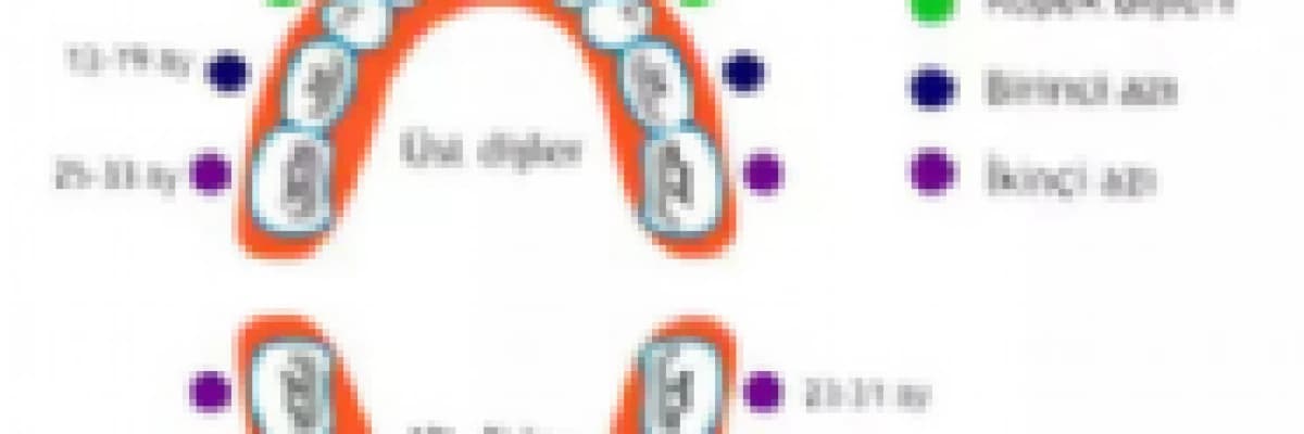 Çocuk Diş Tedavisi (Pedodonti), Koruyucu Diş Hekimliği