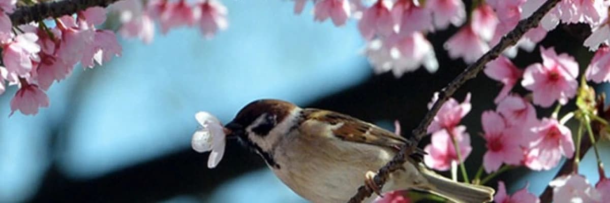 BAHARLA BERABER SİZDE YENİLENİN…