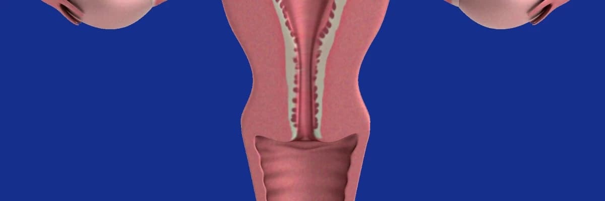 NORMAL ADET DÖNGÜSÜ NASIL OLUR? NE NORMALDİR, NE DEĞİLDİR?