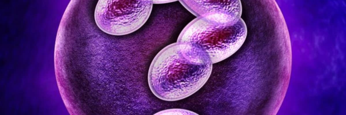 Dondurulmuş embriyo düşüğe neden olur mu?