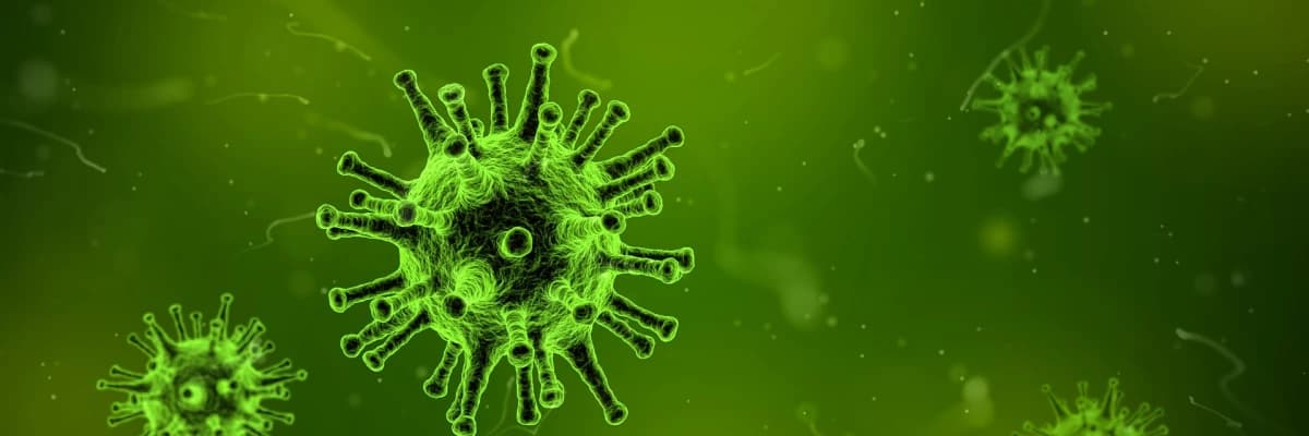 Hpv virüsü ve rahim ağzı kanseri ilişkisi nasıldır?