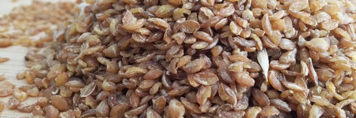 POPÜLER BESİN: SİYEZ BULGURU