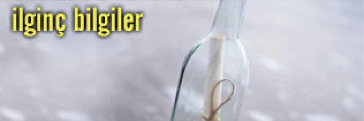 Beslenme konusunda ilginç bilgiler