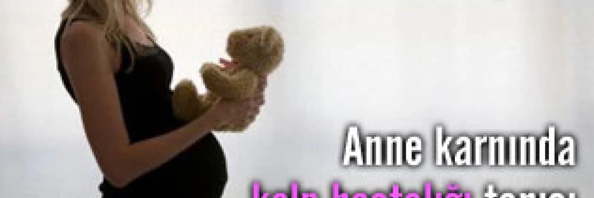 Fetal ekokardiografi: anne karnında kalp hastalığı tanısı