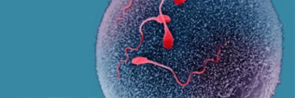 Pcos (polikistik over sendromu)