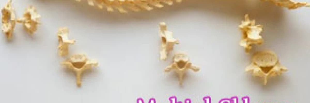 Multipl skleroz (ms)