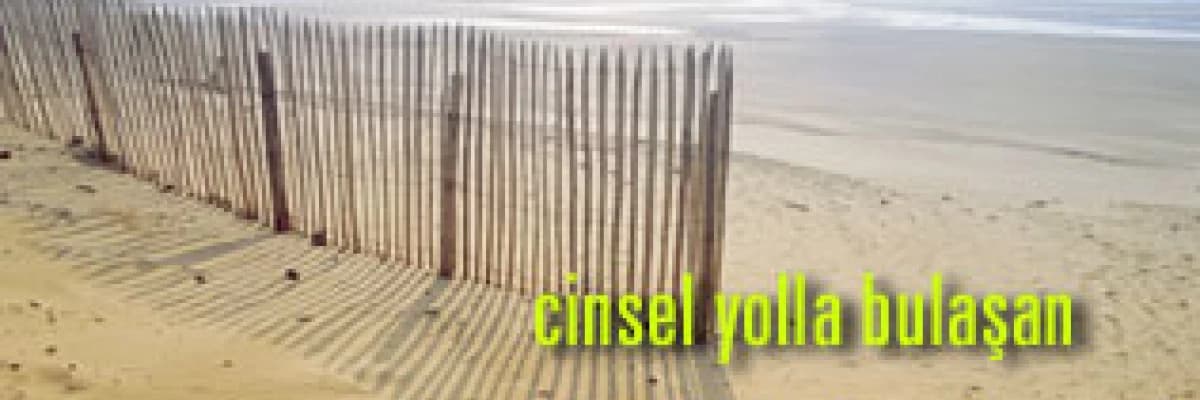 Yaz aylarında cinsel yolla bulaşan hastalıklarda artış var !